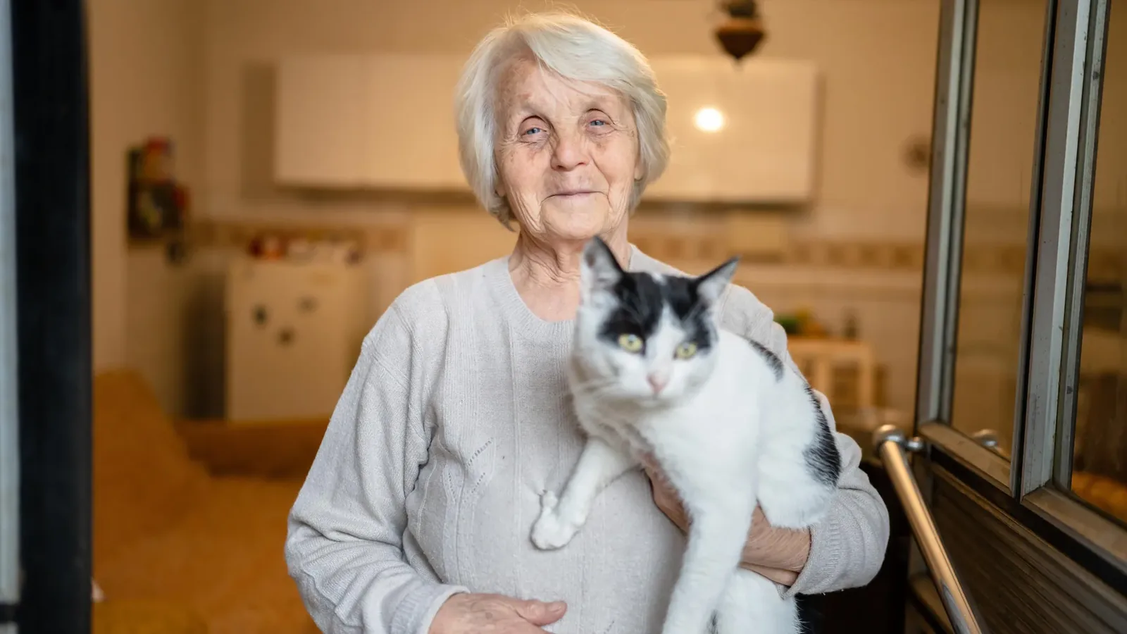 Feline Dementia: Unlocking Alzheimer’s Secrets